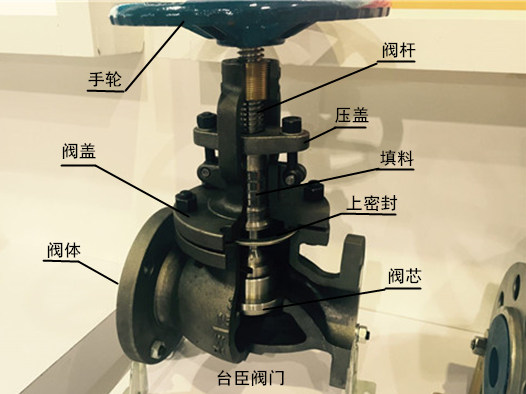 截止閥結(jié)構(gòu)示意圖、解剖圖