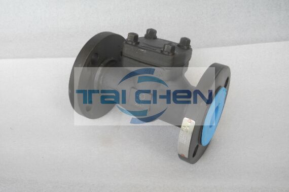 鍛鋼止回閥圖片,H41H 鍛鋼升降式止回閥案例現(xiàn)場(chǎng)圖片,上海臺(tái)臣閥門